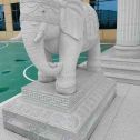 广西 白麻花岗岩动物异形石雕-大象