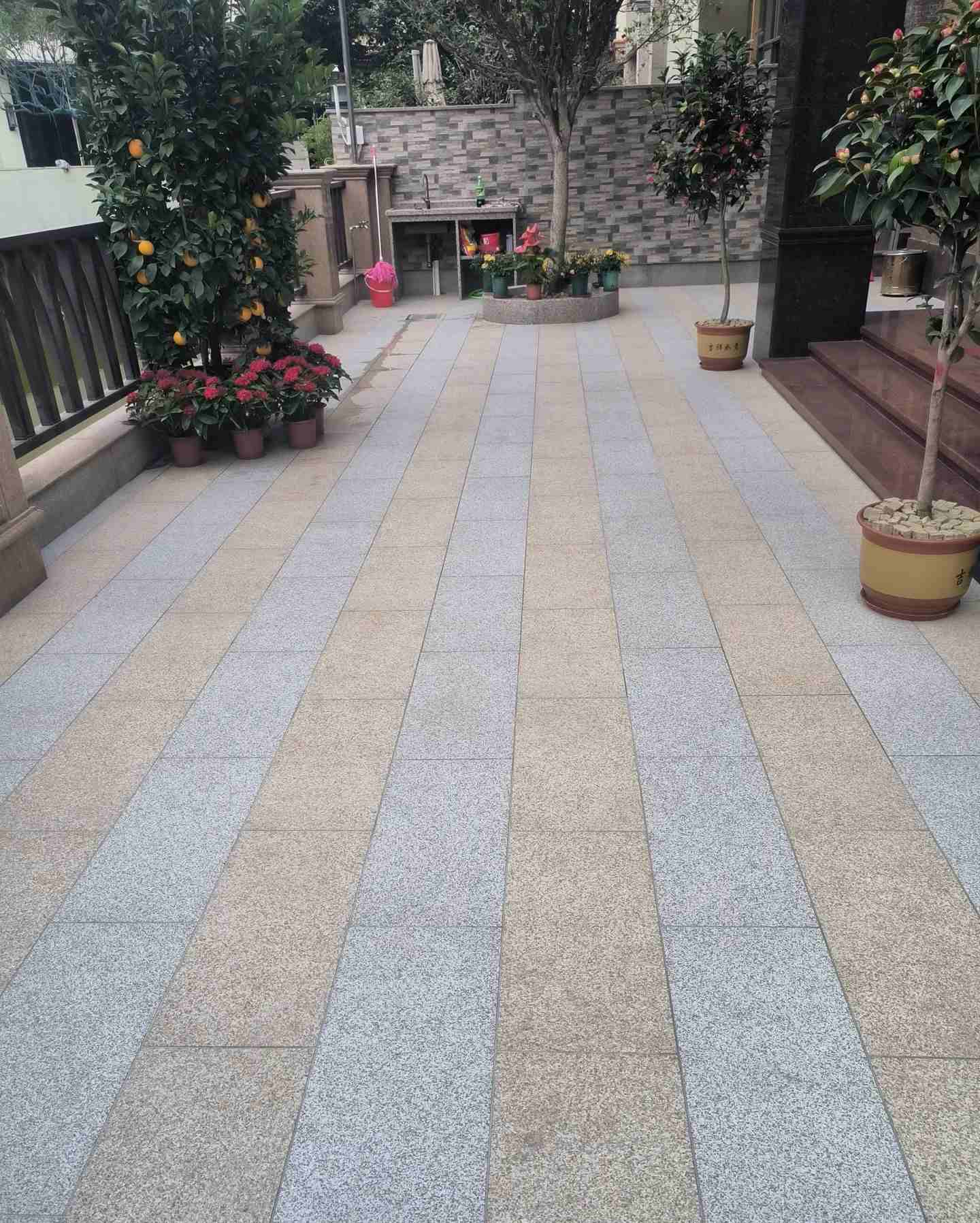 广西 黄金麻白麻荔枝面庭院铺装展示