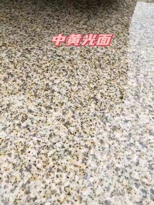 广西黄金麻中黄光面